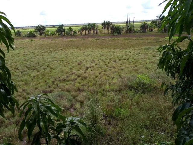 Imagem: Terreno, Área de Chácara