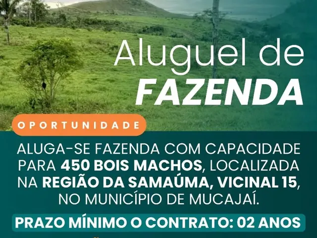 Imagem: Aluga-Se Uma Fazenda