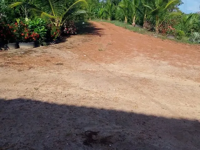 Imagem: Vende Se Ou Troca por Caminhão, Casa, Carro