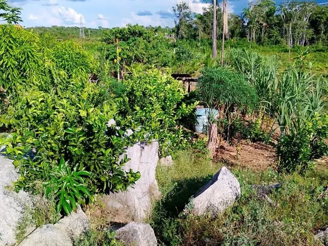 Imagem 5: Vende Se Ou Troca por Caminhão, Casa, Carro Ou Lote Rural