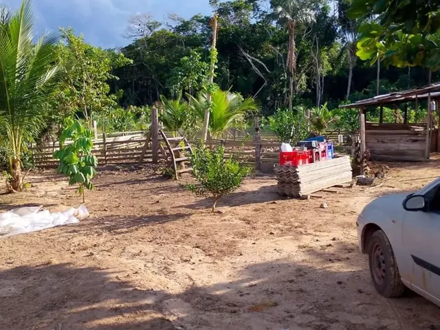 Imagem 7: Vende Se Ou Troca por Caminhão, Casa, Carro Ou Lote Rural