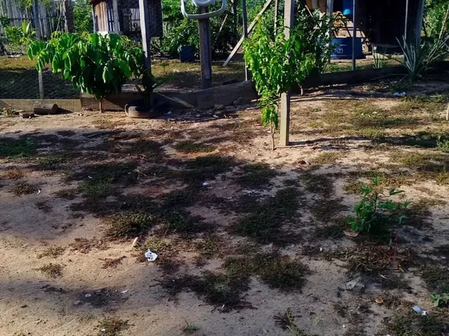 Imagem 9: Vende Se Ou Troca por Caminhão, Casa, Carro Ou Lote Rural