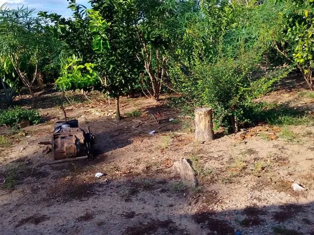 Imagem 12: Vende Se Ou Troca por Caminhão, Casa, Carro Ou Lote Rural