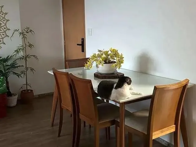 Imagem 12: Alugo Ótimo Apartamento Mobiliado