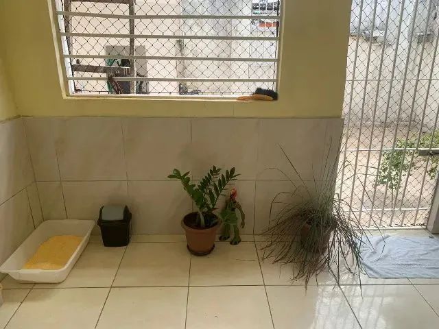 Imagem 5: ? Quarto para Alugar - Perto da Ufrpe