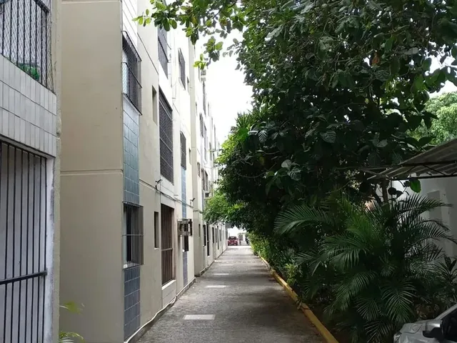 Imagem 11: Imóvel para Aluguel Possui 82 Metros Quadrados com 3 Quartos em...