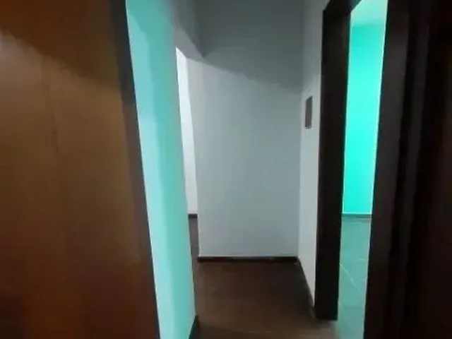 Imagem 8: Casa Parque Amazonia Goiania Go Brasil