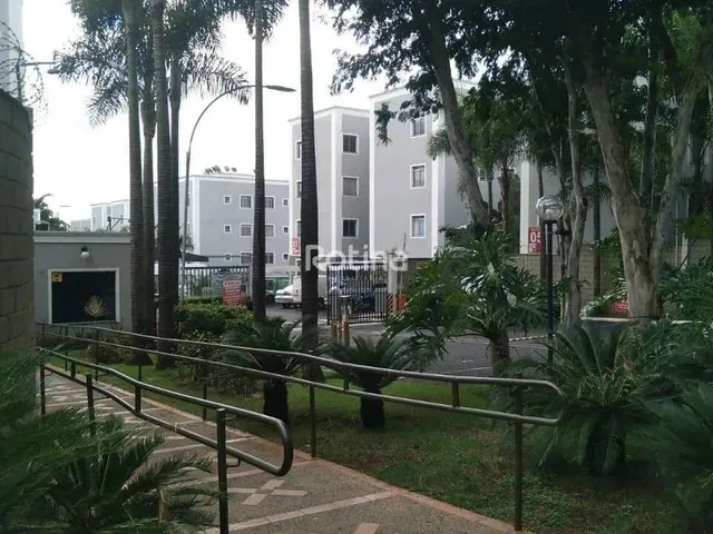 Imagem: Apartamento para Alugar, 2 Quartos, Chacaras