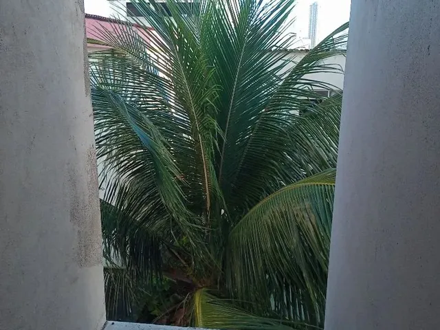 Imagem 2: Apto Aluguel 03 Quartos Itapuã