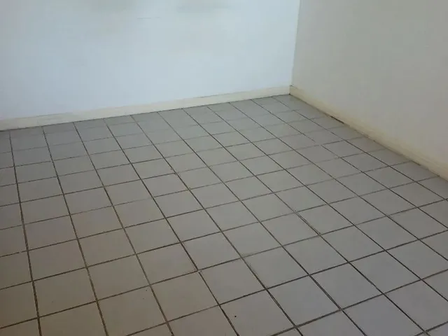 Imagem 4: Apto Aluguel 03 Quartos Itapuã