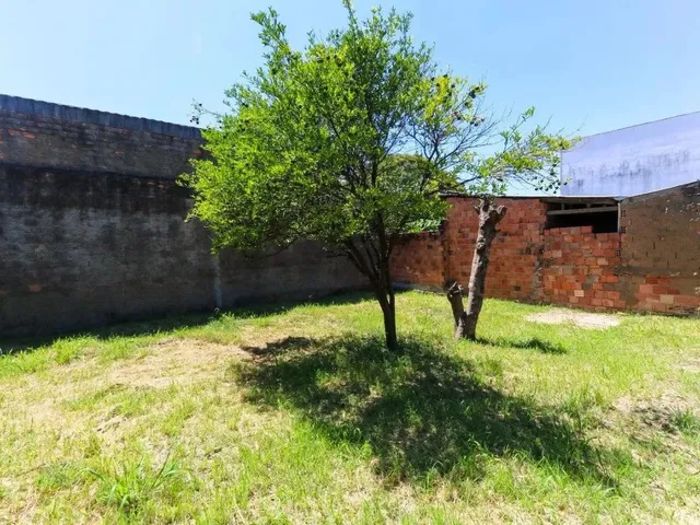 Imagem 6: Casa com 2 Quartos para Alugar no Bairro Mato Grande