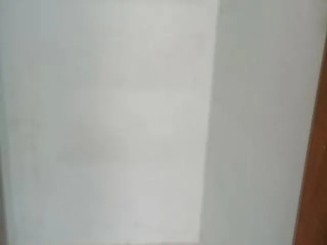 Imagem 7: Casa na Av. Generalíssimo Deodoro para Fins Comerciais