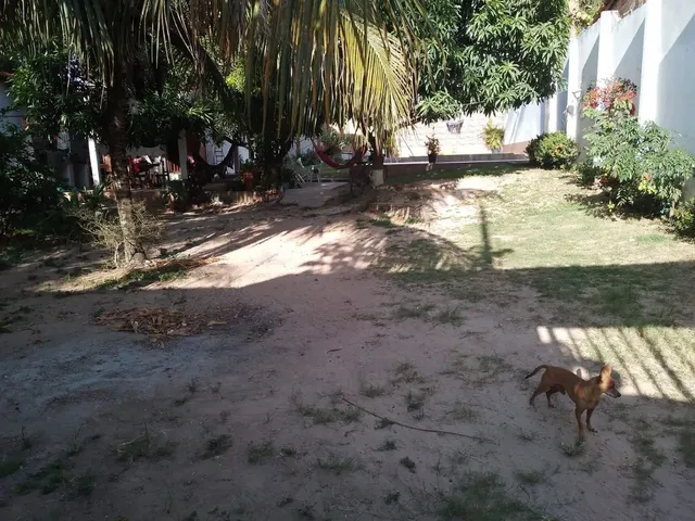 Imagem 3: Aluguel por Temporada em Salinas