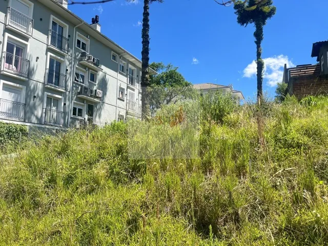 Imagem: Terreno à Venda Pousada da Neve Nova Petrópolis
