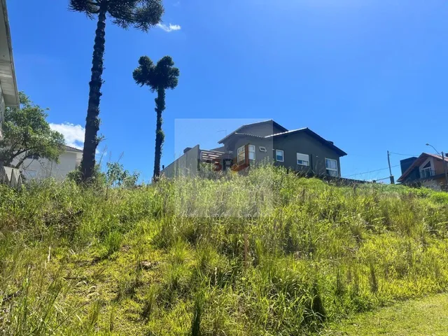 Imagem 4: Terreno à Venda Pousada da Neve Nova Petrópolis | 450m² em Bairro Valorizado