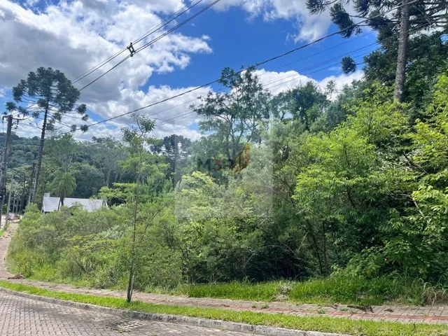 Imagem: Terreno à Venda Linha Imperial Nova Petrópolis