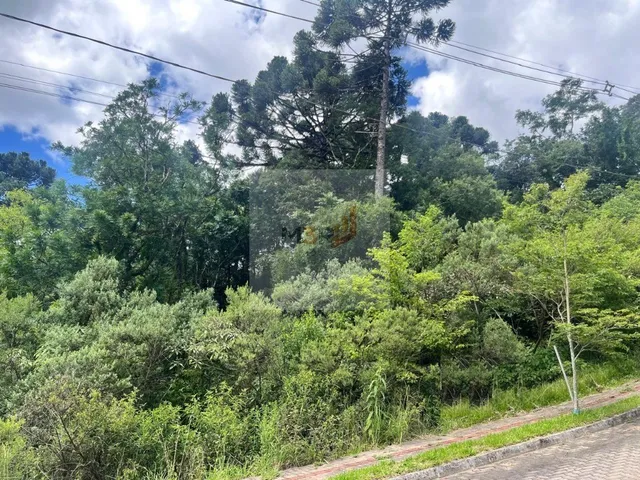 Imagem 4: Terreno à Venda Linha Imperial Nova Petrópolis | 426m² Junto à Natureza