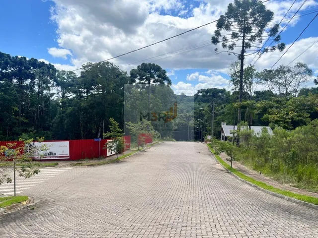 Imagem 2: Terreno à Venda Linha Imperial Nova Petrópolis | 426m² Junto à Natureza