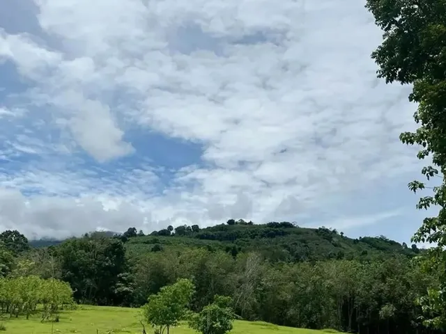 Imagem: Terreno Barato em Ibiúna Ideal pra Chácara