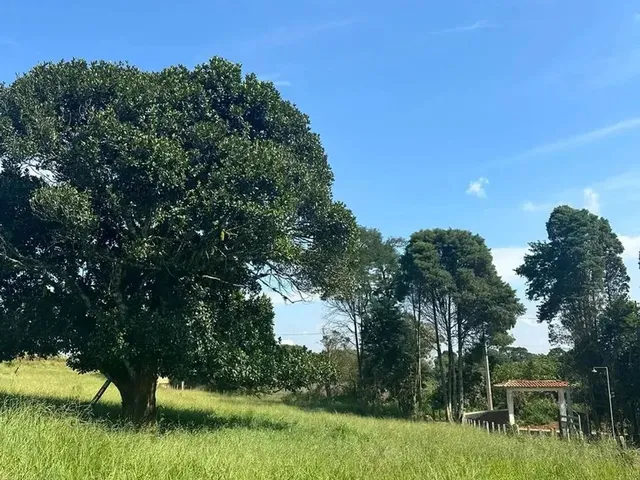 Imagem 2: Terreno Barato para Chácara em Ibiúna, Doc Ok