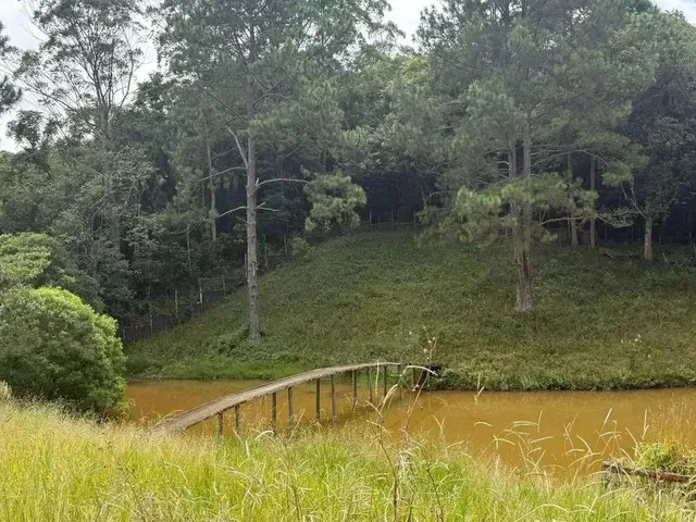 Imagem: Terreno Barato com Doc em Dia e Acesso Bom