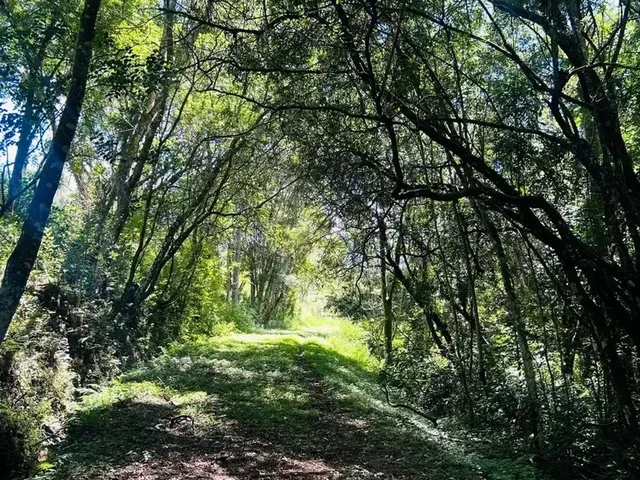 Imagem 8: Lote Barato em Ibiúna, Pronta Documentação
