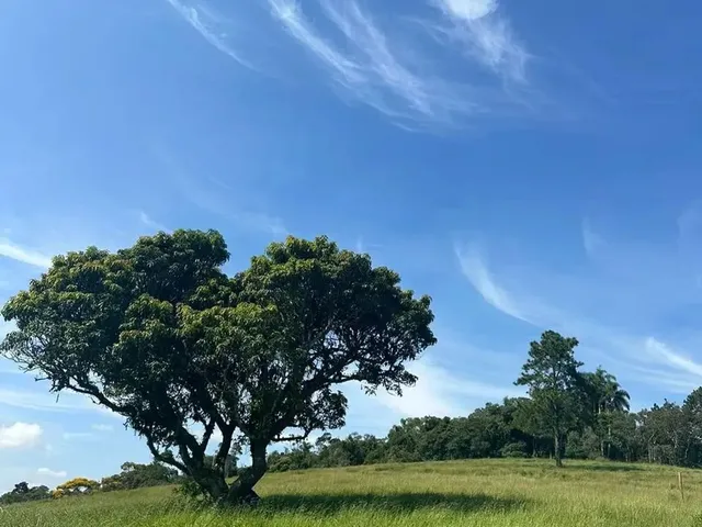 Imagem 7: Lote em Ibiúna, Barato e Legalizado