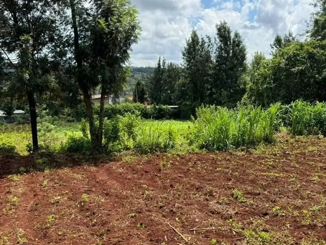 Imagem 5: Terreno Barato com Doc Pronta Ibiúna