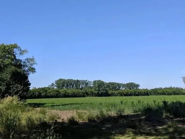 Imagem 7: Terreno Barato com Doc Pronta Ibiúna