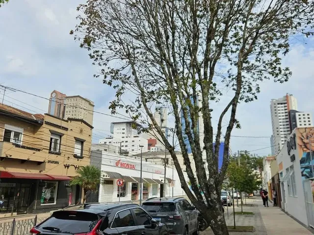 Imagem 3: Apartamento de 1 Quarto, 43,2M², no Edifício Aurora Mercês, Curitiba