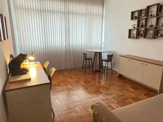 Imagem: Apto Centro, Amplo, Fino Trato, Rua Paulo