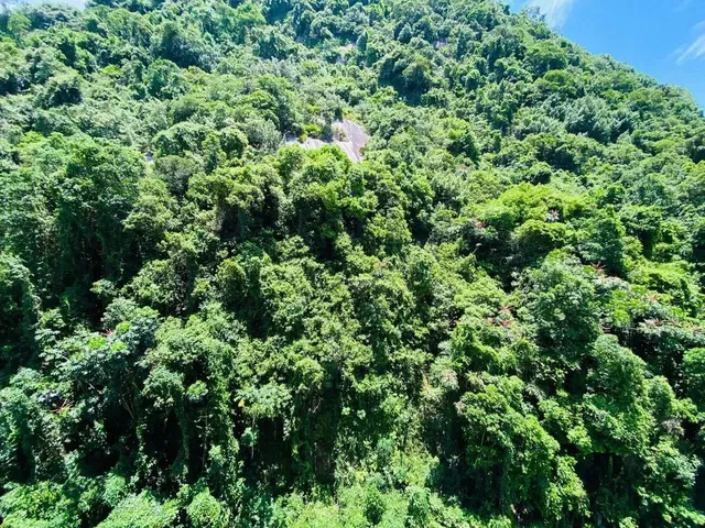 Imagem 10: Imóvel para Aluguel 2 Quartos Mobiliado, Lazer, Way Orquidario - Santos - Sp