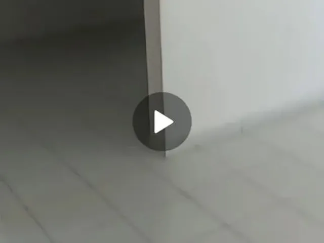 Imagem 3: Apartamento, Cidade Colibris, João Pessoa. Perto Unipe, Havan e Br 232.