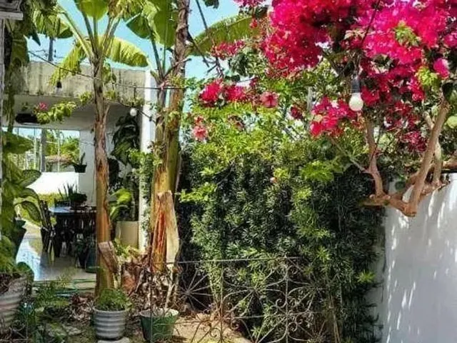 Imagem 12: Casa com 3 Dormitórios para Alugar por R$ 6.300,00/Mês - Ponta de Campina - Cabedelo/Pb