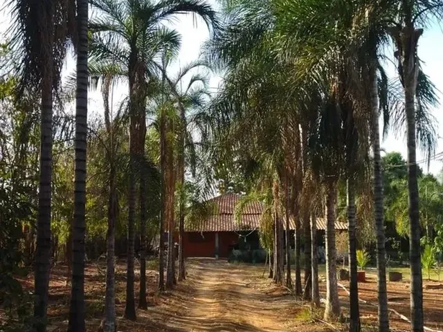 Imagem 7: Imóvel para Venda Possui 3111 Metros Quadrados com 3 Quartos em Zona Rural