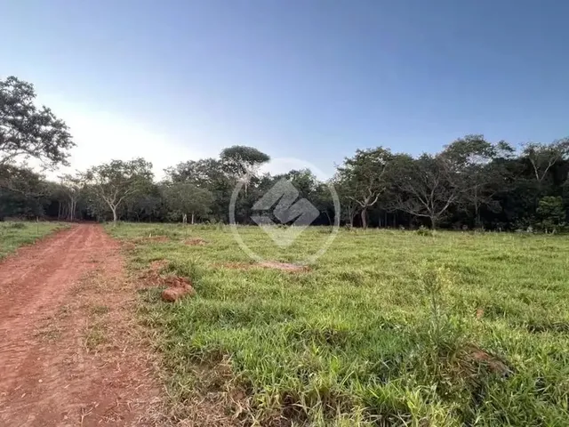 Imagem 10: Hidrolândia - Chácara de 20.000 M² Codigo: 267675