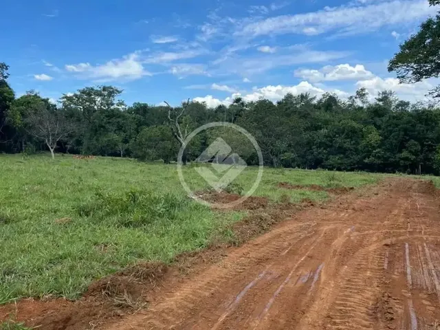 Imagem 3: Hidrolândia - Chácara de 20.000 M² Codigo: 267675