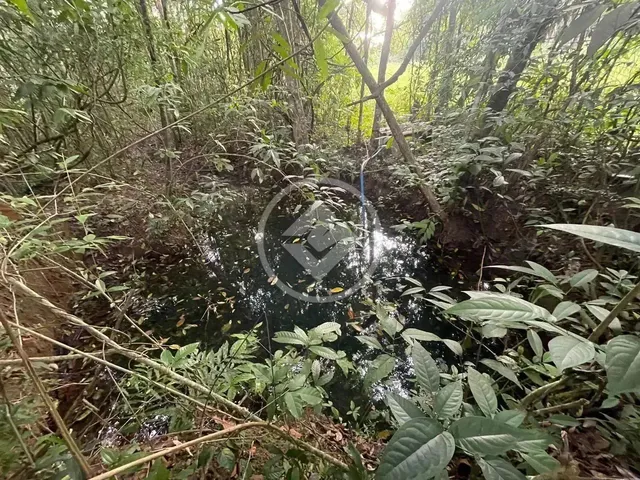 Imagem 8: Hidrolândia - Chácara de 20.000 M² Codigo: 267675