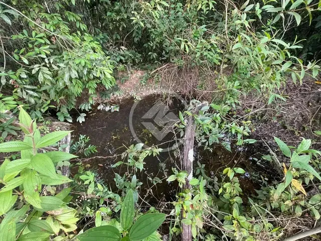 Imagem 4: Hidrolândia - Chácara de 20.000 M² Codigo: 267675