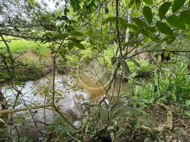 Imagem 15: Hidrolândia - Chácara de 20.000 M² Codigo: 267675