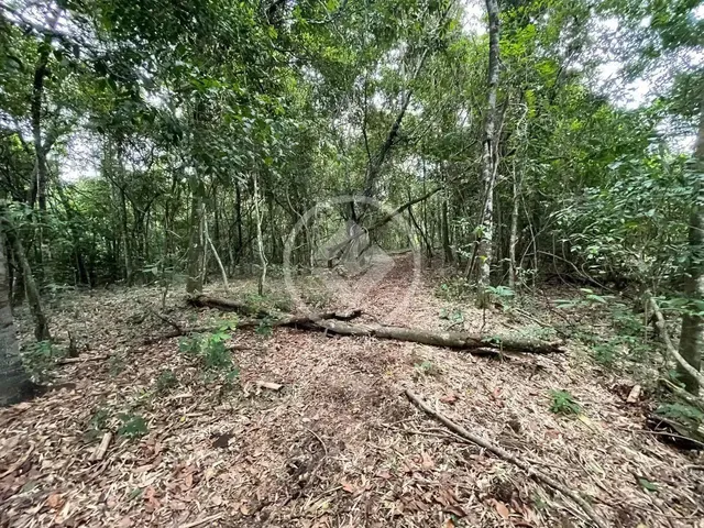Imagem 16: Hidrolândia - Chácara de 20.000 M² Codigo: 267675