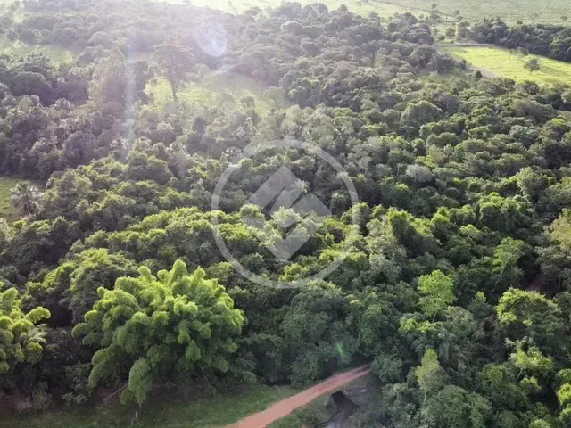 Imagem 14: Hidrolândia - Chácara de 20.000 M² Codigo: 267675