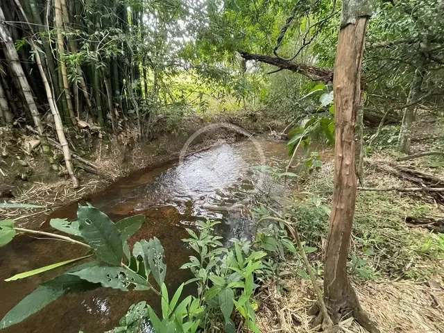 Imagem 13: Hidrolândia - Chácara de 20.000 M² Codigo: 267675
