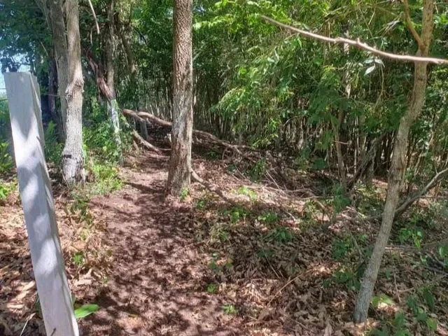 Imagem 9: Chácara Chácara com venda por R$95.000