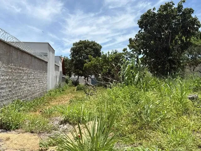 Imagem: Lote a Venda em Aruanã