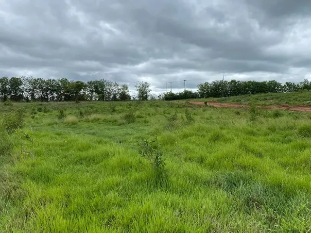 Imagem 4: Chácaras de 1.200Mt em Trindade Próximas da Cidade!