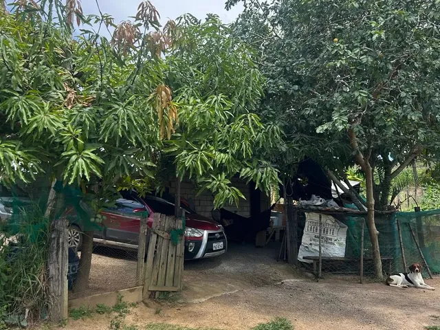 Imagem: Vendo Excelente Chácara em Alexânia Goiás