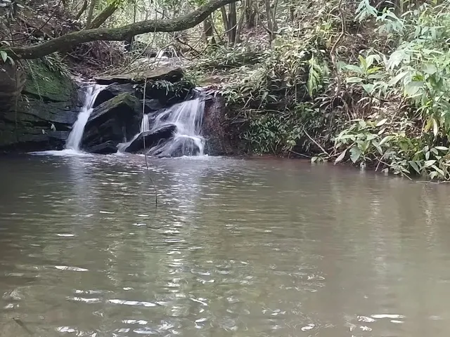 Imagem 2: Chácaras de 3Mil Mt com Córrego Nao Perca Essa Oportunidade!