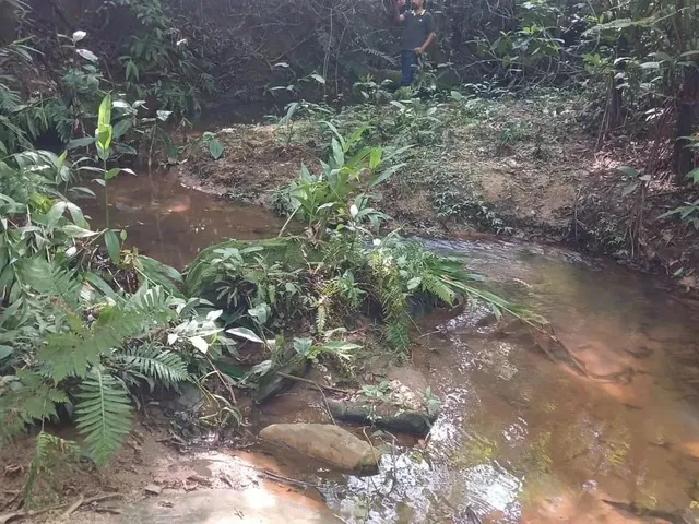 Imagem 5: Chácaras de 3Mil Mt com Córrego Nao Perca Essa Oportunidade!