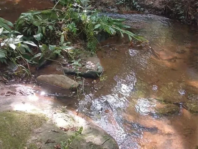 Imagem 6: Chácaras de 3Mil Mt com Córrego Nao Perca Essa Oportunidade!